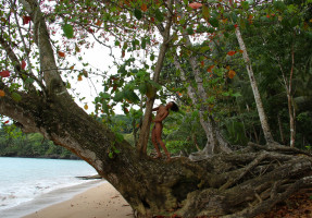 S&atilde;o Tom&eacute;